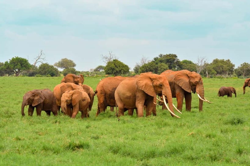 Sri Lanka Nature, culture, history and wildlife in 4 days - Key highlights worth planning around