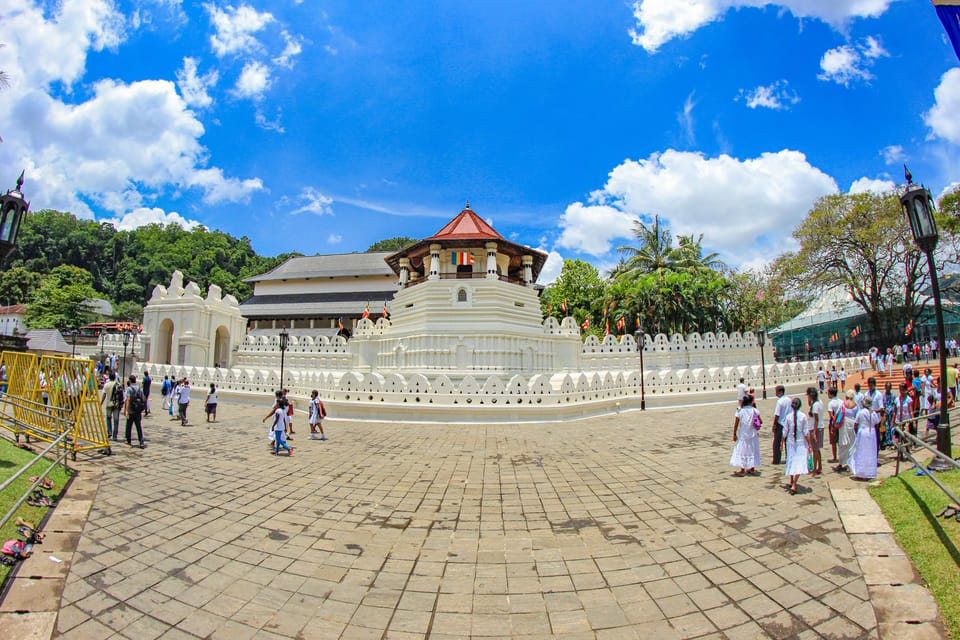 Sri Lanka Nature, culture, history and wildlife in 4 days - Day 3: The Hill Country Blue Train to Nawalapitiya, tea factory time, and Nuwara Eliya sightseeing