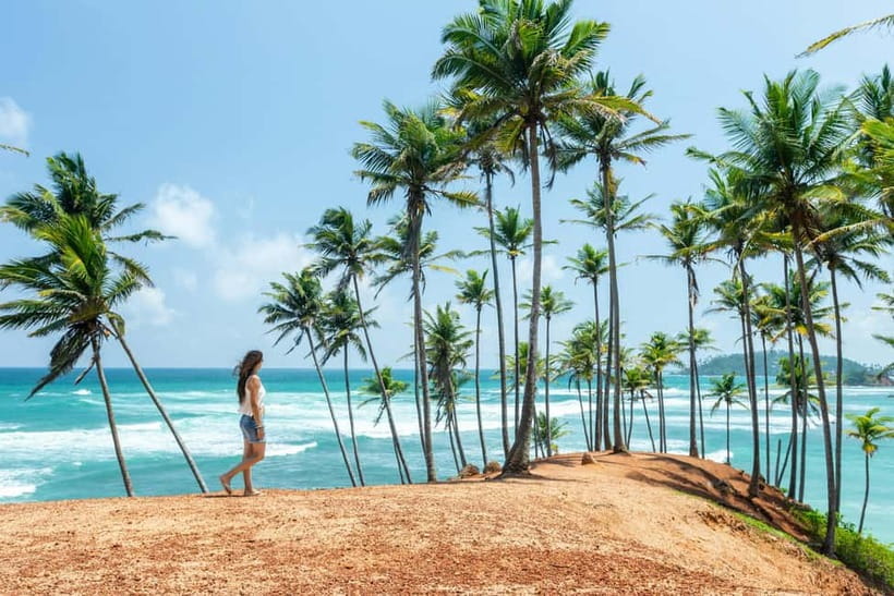 Sri Lanka Private 10-Day Round Tour Car, Guide, Hotels, Food - The best parts of this Sri Lanka private round tour