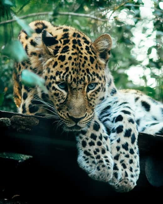 Sri Lanka Private 10-Day Round Tour Car, Guide, Hotels, Food - How this 10-day route fits together (history, hills, safari, beach)