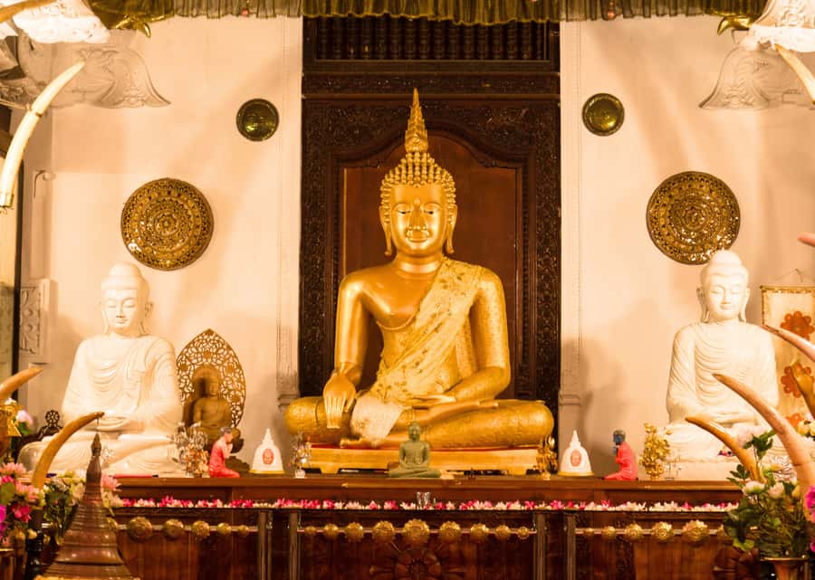 Sri Lanka Private 2-day Tour:Train Trip, Kandy, Nuwara Eliya - Gregory Lake Esplanade: The Easy Walk Between Roads