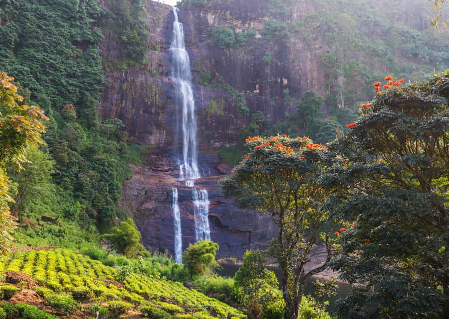 Sri Lanka Private 2-day Tour:Train Trip, Kandy, Nuwara Eliya - Kandy’s Temple of the Sacred Tooth Relic: The Main Event, Up Close