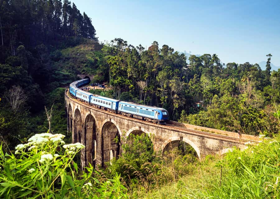 Sri Lanka Private 2-day Tour:Train Trip, Kandy, Nuwara Eliya - Kandy to Nuwara Eliya by Train: A Straight Shot Into Tea Station Life