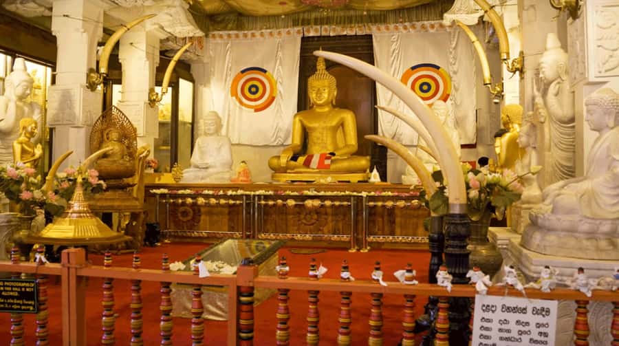 Sri Lanka Private 2-day Tour:Train Trip, Kandy, Nuwara Eliya - Getting to Kandy: Colombo Leg, Spice Garden, and What You’ll Learn