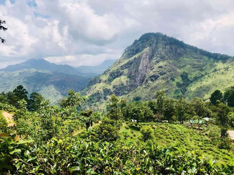 Sri Lanka Private 3-nights Tour Transport, Guide, Hotels - Day 1: Colombo to Kandy with Royal Botanic Garden, dance, and a big temple