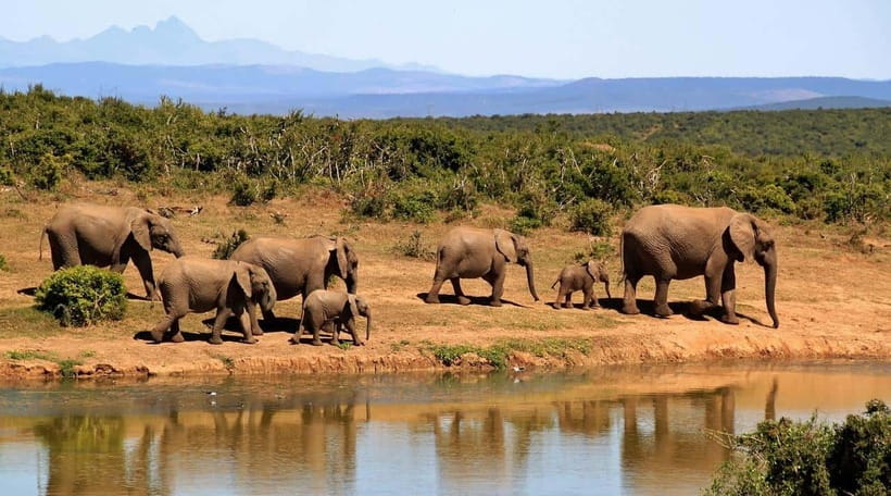 Sri Lanka Private 3-nights Tour Transport, Guide, Hotels - What to pack (and what the rules mean in practice)