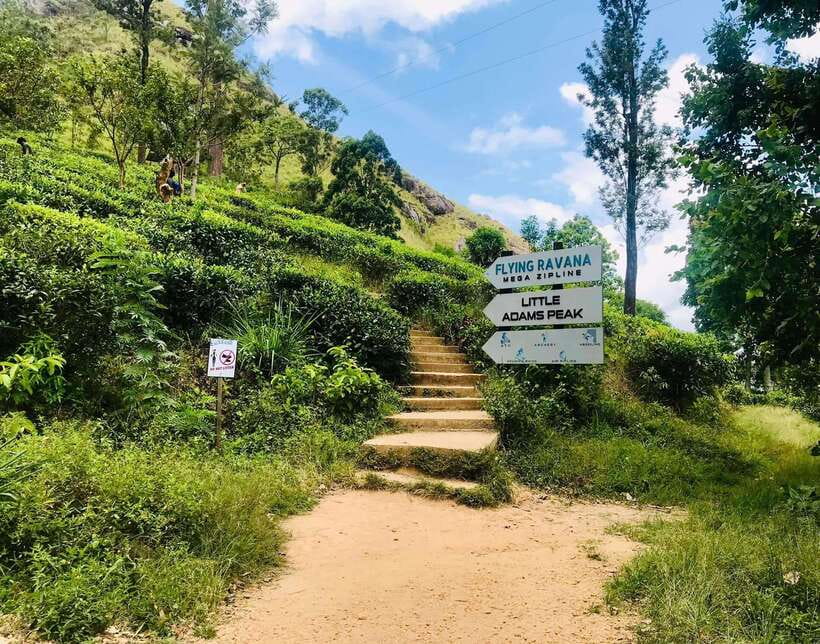 Sri Lanka Private 3-nights Tour Transport, Guide, Hotels - Day 2: Sigiriya, Dambulla Golden Temple, and Minneriya’s off-road safari