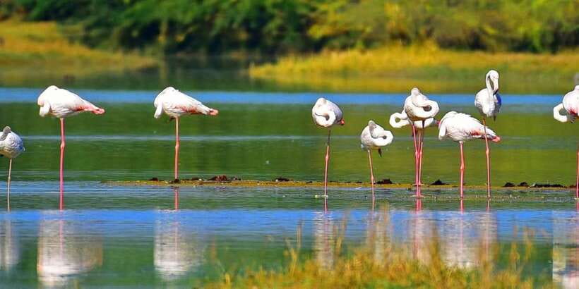 Sri Lanka Private Galle Tour: stilt fisherman, Galle Fort... - Bentota and Hikkaduwa Beach Time: A Necessary Reset
