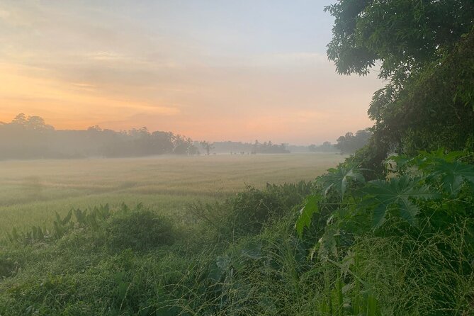 Sri Lanka - Private Ratnapura Gem Tour with Gem and jewelry Expert - Key highlights you will actually feel