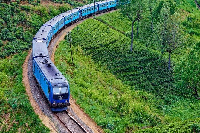 Sri Lanka Private Tour 10 DAYS Driver/Vehicle/Accommodation H/B - Kandy with spice garden stops and a cultural dance show
