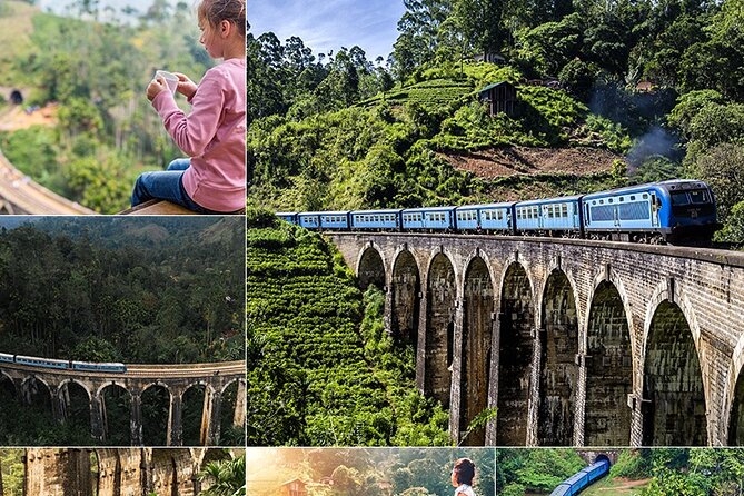 Sri Lanka Private Tour 10 DAYS Driver/Vehicle/Accommodation H/B - Arrival in Negombo: airport pickup that gets you settled