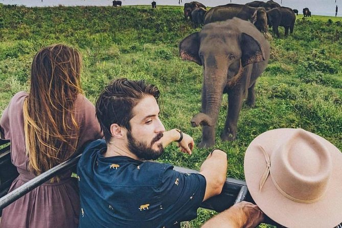 Sri Lanka private tour package 9 night 10 Day with driver+vehicle+accommodations - Day 6 Royal Botanical Gardens and Tea Country: Nuwara Eliya Without the Rush