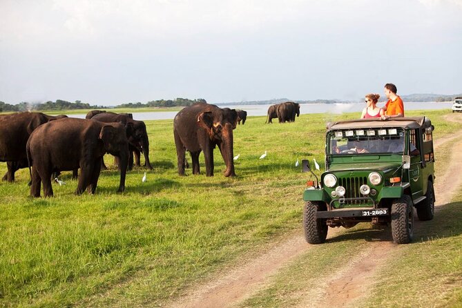 Sri Lanka; Professional Chauffeur Guide With Modern Vehicles - FAQ