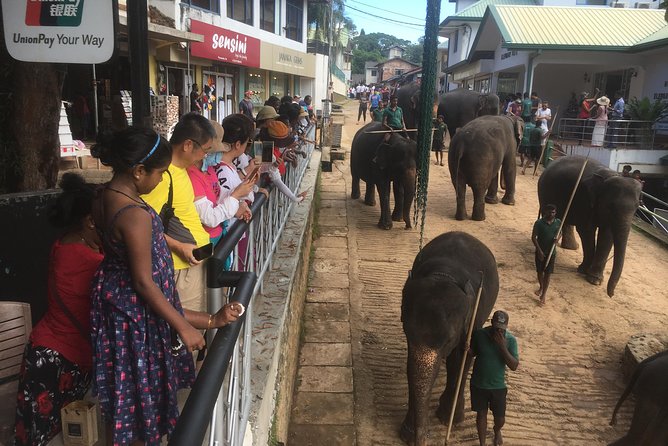 Sri Lanka round tour - Key things that make this Sigiriya tour worth your time