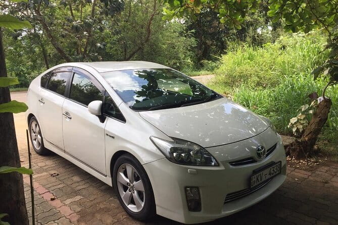 Sri Lanka Round Tour with English Speaking Driver Guide and Car - Starting in Negombo and Ending Back Where You Began