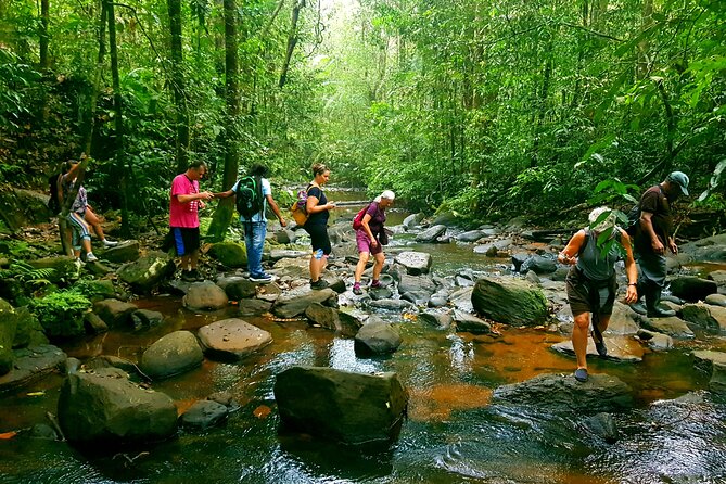 Sri Lanka Sinharaja Rain Forest Tour with Transport - Key things I’d circle before you book