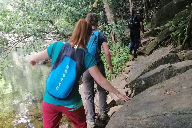 Sri Lanka Sinharaja Rain Forest Tour with Transport - The Gem Shopping Stop: Plan It Like a Break, Not a Detour