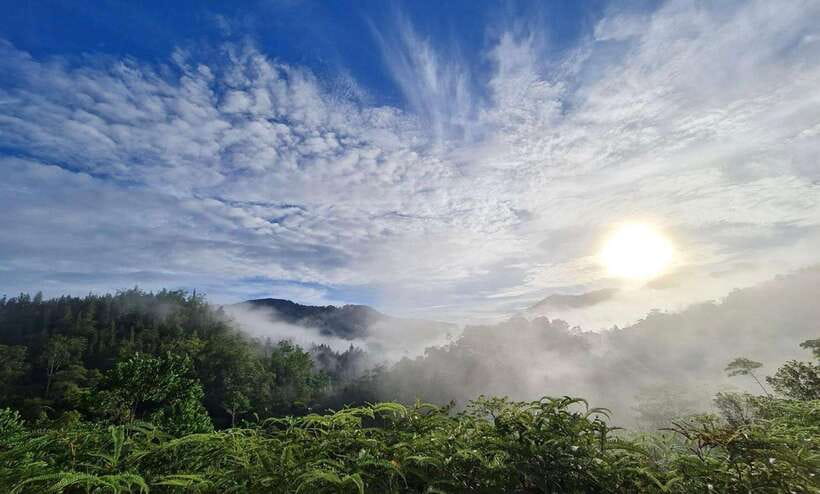Sri Lanka : Sinharaja Rainforest Guided Trek with Pickup - Key things that make this trek worth your time