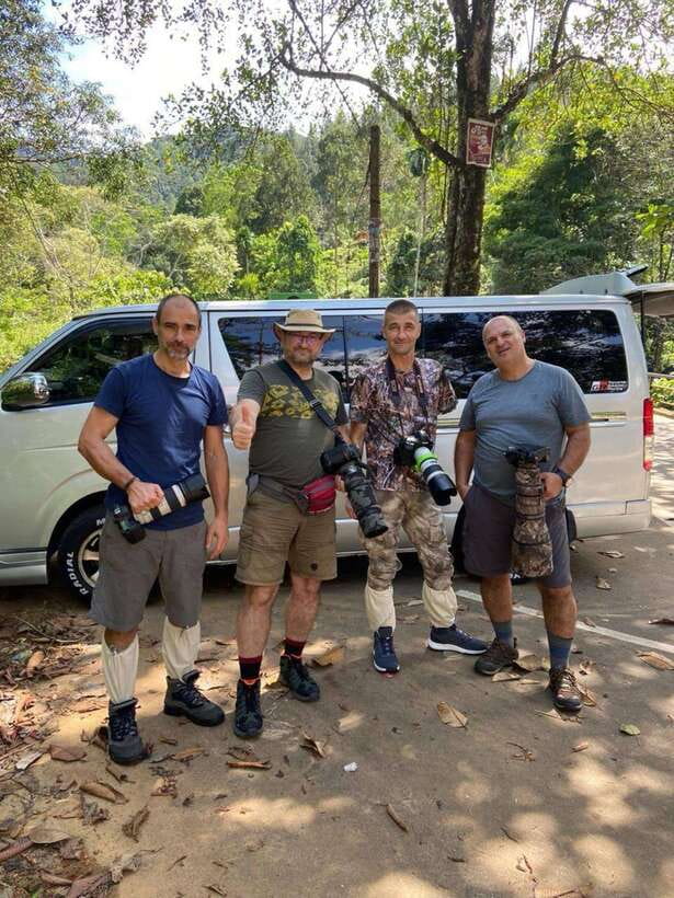 Sri Lanka : Sinharaja Rainforest Guided Trek with Pickup - Price and value: why $96 can make sense here