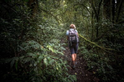 Sri Lanka: Sinharaja rainforest tour from Colombo, Bentota - Pickup from Colombo, Negombo, Bentota, and Kalutara (and why it’s a big deal)