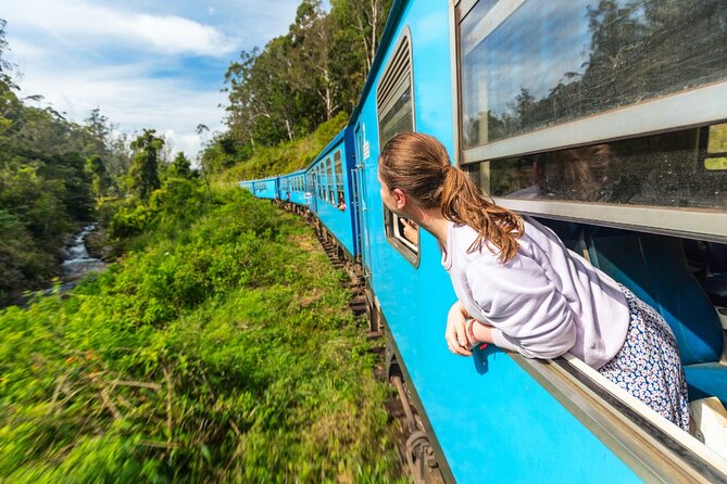 Sri Lanka tour 8 Days with a private driver, hotels, and vehicle - Key points before you commit