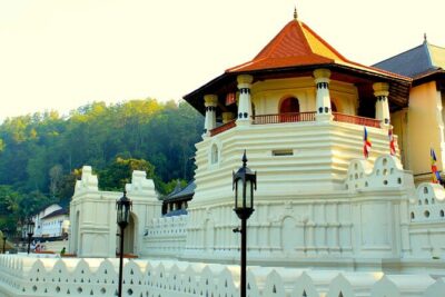 Sri Lanka tour 8 Days with a private driver, hotels, and vehicle - Polonnaruwa ruins and a Minneriya elephant safari drive
