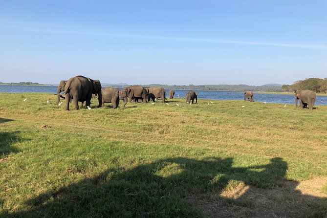 Sri Lanka Tour in 8 Days - Day 2: Sigiriya Rock Fortress and the Cave-Temple Trio near Dambulla