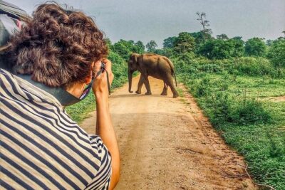 Sri Lanka tour itinerary . 6N/7D with driver, vehicle and H/B accommodations - Sigiriya: what to expect from Lion Rock Fortress time