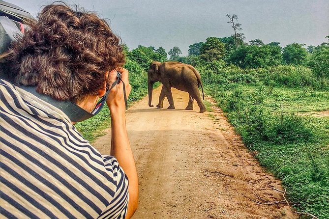 Sri Lanka tour itinerary . 6N/7D with driver, vehicle and H/B accommodations - Sigiriya: what to expect from Lion Rock Fortress time