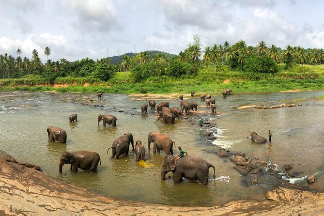 Sri Lanka Tour Package in 05 Nights 06 Days - Tea Country and Nuwara Eliya Stops: Waterfalls and Gregory Lake