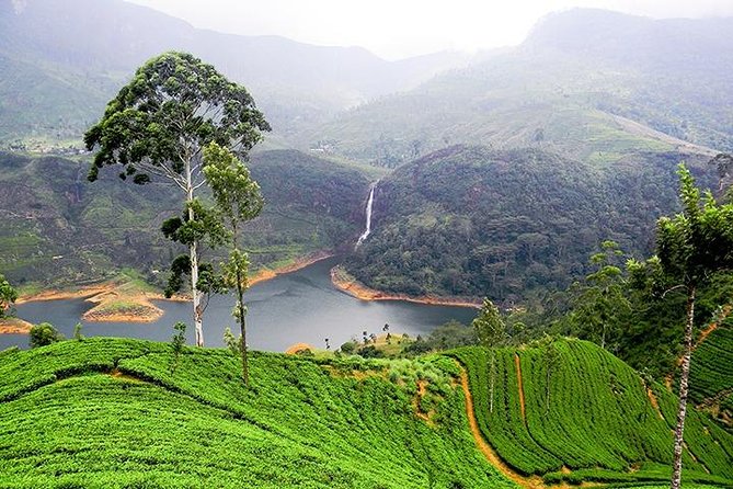 Sri Lanka Tour Packages with English Speaking Driver Guide and Car - Price and Value: What $84 Covers (and What It Doesn’t)