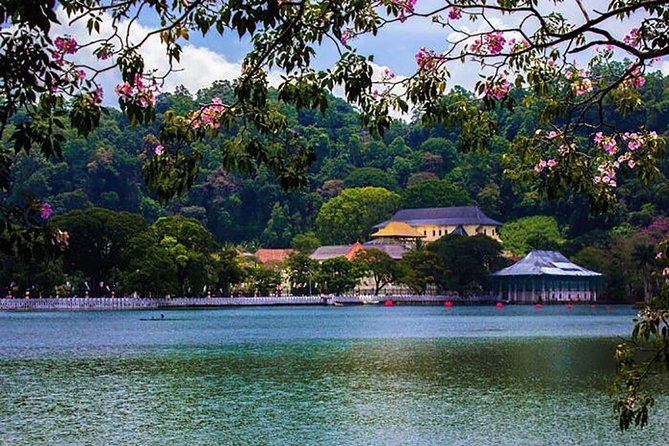 Sri Lanka Tour Packages with English Speaking Driver Guide and Car - Dambulla Golden Temple and Kandy’s Temple of the Tooth Relic