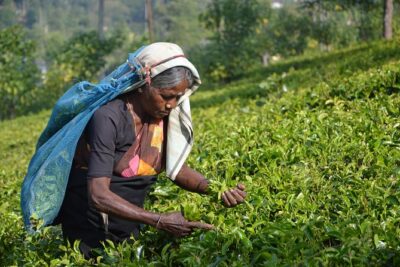 Sri Lanka Tour - Perfect Sri Lanka Itinerary 5 Days - The big tradeoff: long car days and how to survive them
