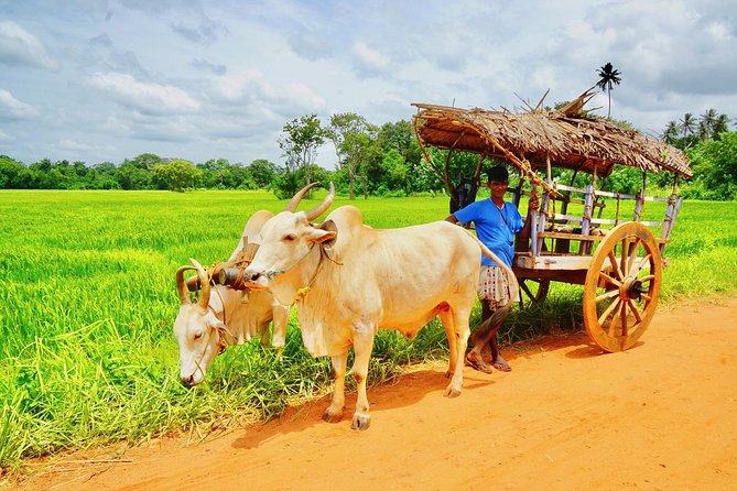 Sri Lanka Travel in 08 Nights 09 Days - Day 7: Galle Dutch Fort and Coastline History