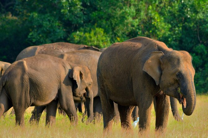Sri Lanka Unveiled: 12 Nights Complete Experience Package - Key things that make this Sri Lanka package work