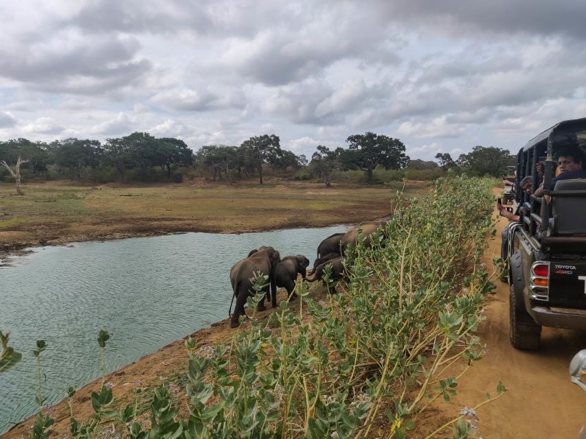 Sri Lanka: Yala National Park Private Safari - How the 3-Hour Experience Feels on the Ground