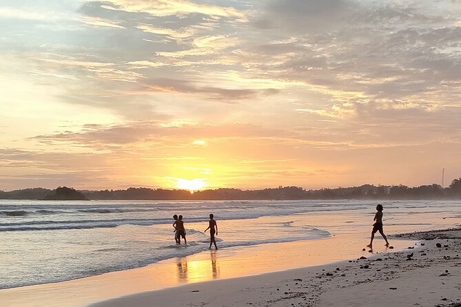 Surf Camp in Weligama Beach Sri Lanka - Weligama surf lessons in a 75-minute rhythm