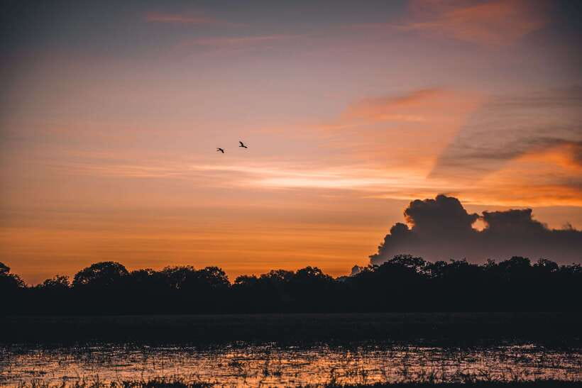 Tangalle/Hiriketiya: Yala National Park Safari in a 4x4 - Key things that make this Yala safari feel worth it