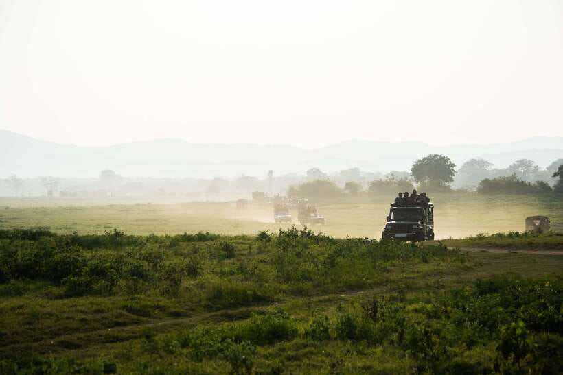 Tangalle/Hiriketiya: Yala National Park Safari in a 4x4 - Wildlife targets you’re really hunting: leopards, elephants, sloth bears