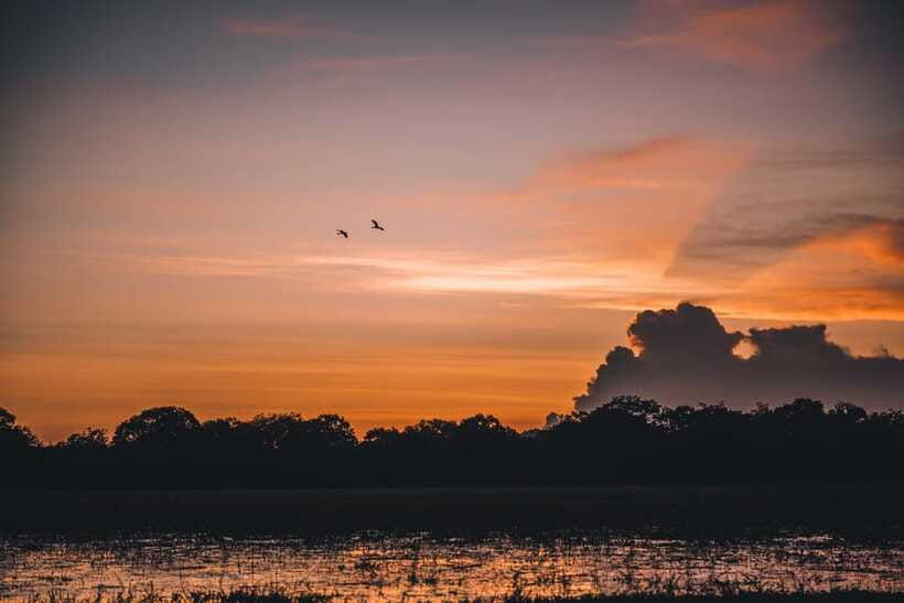 Tangalle/Hiriketiya: Yala National Park Safari in a 4x4 - Your guide can turn a long morning into a good story