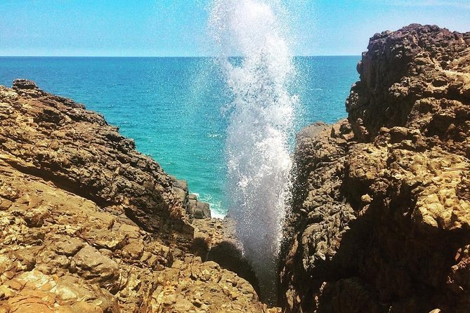 Tangalle Sightseeing Tour - Who this Tangalle sightseeing tour is best for