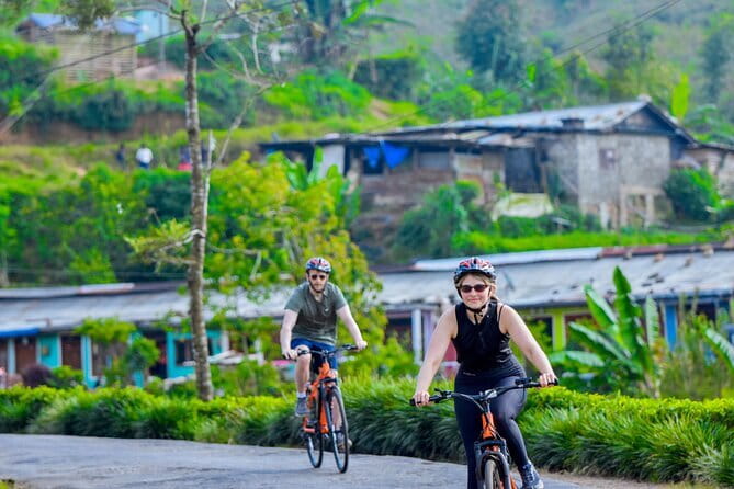 Tea Loops E-Biking - E-Bikes Through Tea Country: Why This 25 km Loop Works