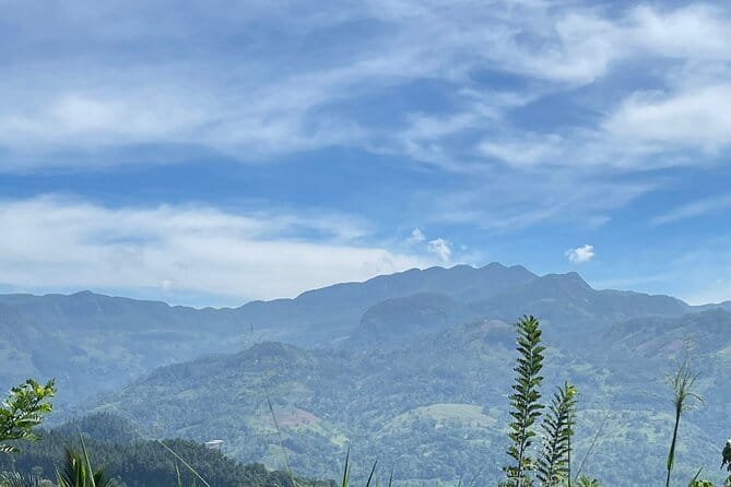Tea Loops E-Biking - The Guide Makes the Day: Sri, Lishaa, and Nandhu