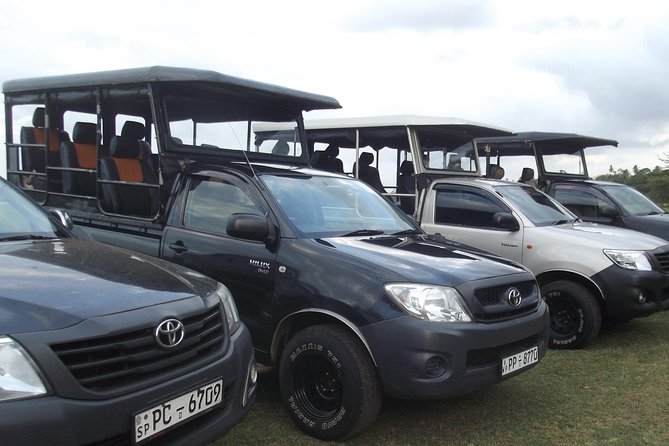 The Best Safari tour from Hambantota Port (Janaka safari) - Quick hits before you go