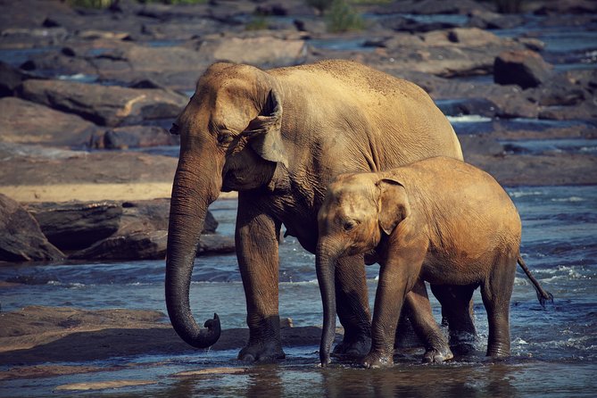 The Most popular Personalized round Tour In Sri Lanka-Day Charged - Day 3: Ramboda waterfall, tea at Damro Labookellie, Nuwara Eliya gardens and Gregory Lake