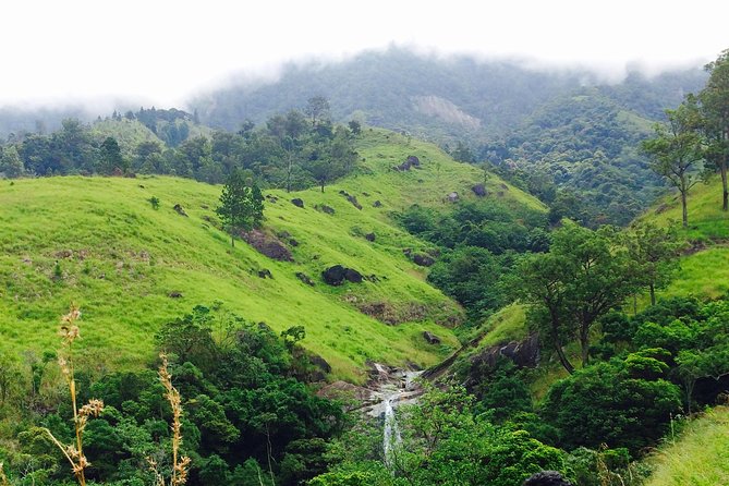 The Most Recommended Round Tour in Sri Lanka - South coast rhythm: Mirissa whales, Galle fort, and Hikkaduwa sea life