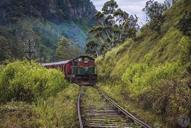 The Most Recommended Round Tour in Sri Lanka - Logistics you’ll feel most: early starts, ticket costs, and private timing