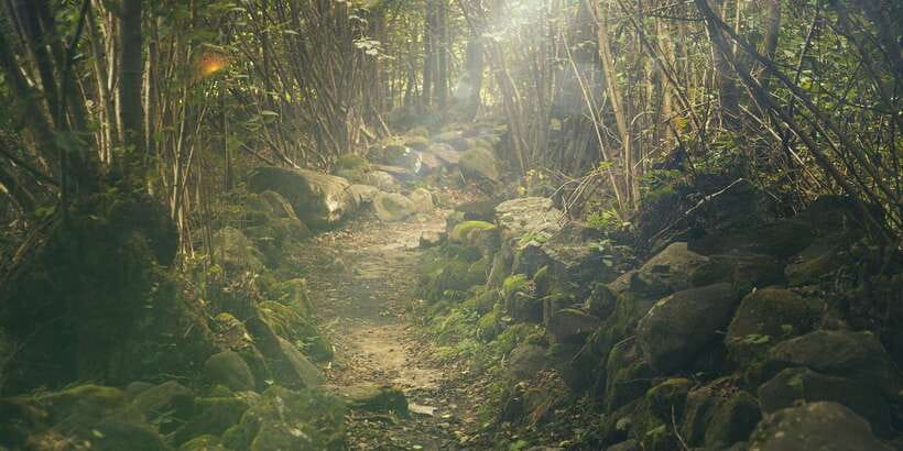 Thrills of Kitulgala - What to bring (and what to leave behind)