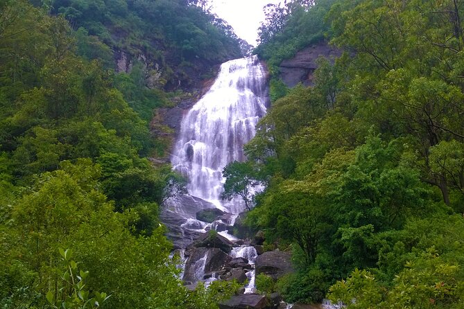 Tour to the Hidden Waterfalls around Kandy (Knuckles Range) - The Wattegama to Bambarella hike: what to expect on the trail