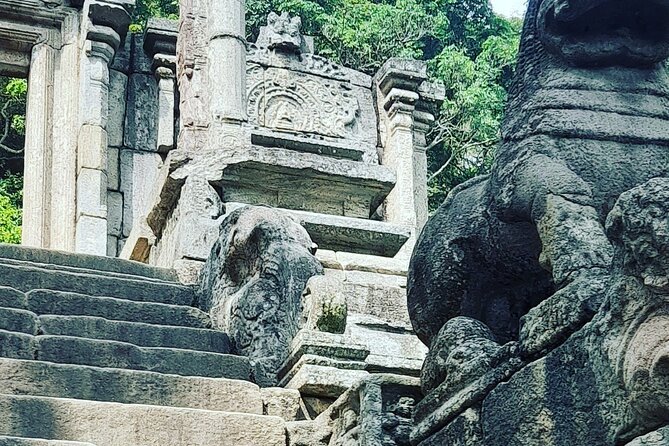 Tours and Transportation in Sri Lanka - The “Customized Private Tour” Part That Actually Matters